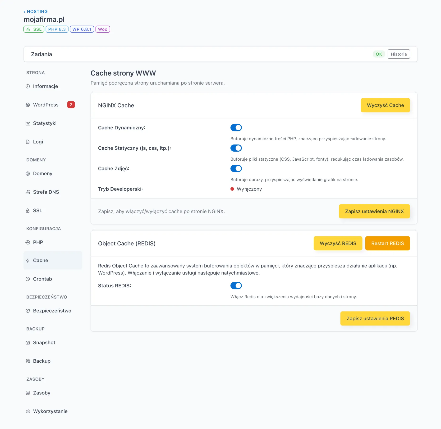 Ustawienia cache (NGINX i Redis) w panelu klienta jdm.pl